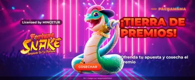 LeoVegas Casino Perú - Juego de Slots